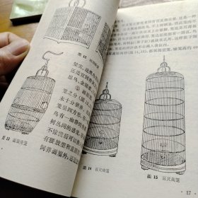 观赏鸟的饲育