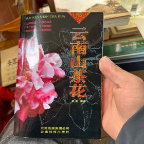云南山茶花