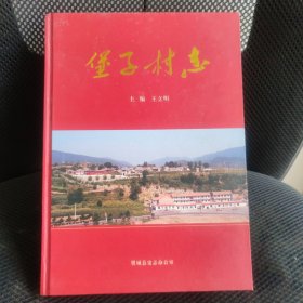 堡子村志
