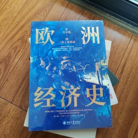 欧洲经济史：从大分流到三次工业革命 以全球视野，讲述1700年至今欧洲经济的故事