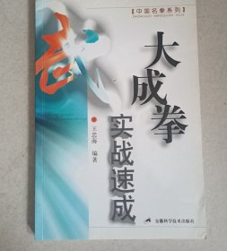 大成拳實戰(zhàn)速成