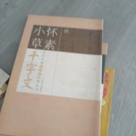 历代名家千字文经典法书怀素小草千字文