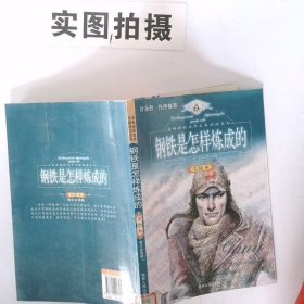 正版图书 钢铁是怎样炼成的