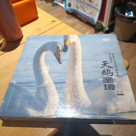 天鹅圣境(精)/湿地光影丛书