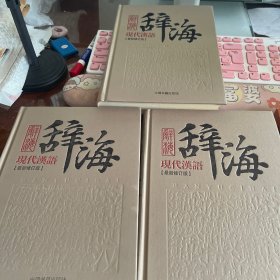 现代汉语辞海（套装共3册）（最新修订版）