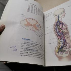 神经科学：探索脑（第2版）（国外优秀生命科学教材译丛）实物拍摄多图 有少许划线