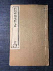 佛顶尊胜陀罗尼经 唐三藏法师义净奉制译等 民国元年常州天宁寺刻印 首尾有佛像版画