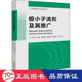 极小子流形及其推广