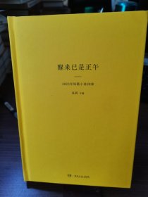 醒来已是正午：2023年短篇小说20家