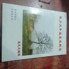 故乡大丰盐垦史概说