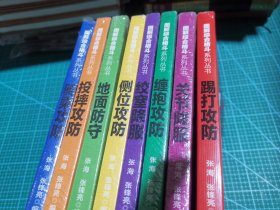 图解综合格斗系列丛书 8册全 投摔攻防 骑乘攻防 侧位攻防 地面攻防 缠抱攻防 绞窒攻防 踢打攻防 关节攻防