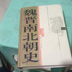 魏晋南北朝史