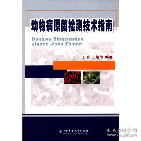 高等学校英语应用能力考试（A级）真题解析及备考一本通（2016版）