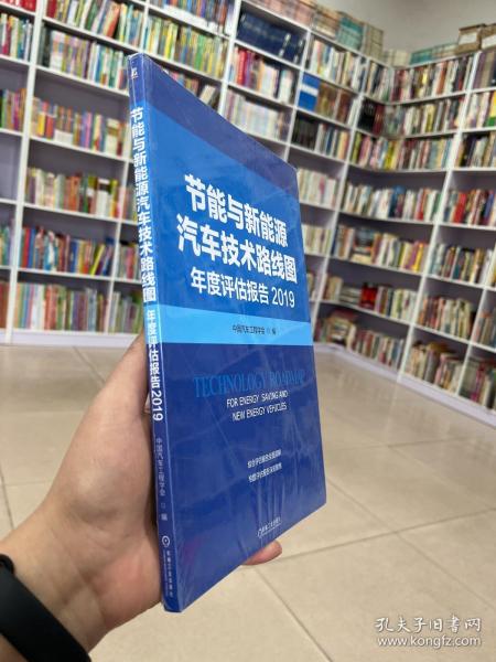 节能与新能源汽车技术路线图年度评估报告  2019.