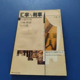 汇率与利率:开放经济分析理论与方法
