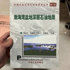 中国东部深层石油地质学丛书（第3卷）：渤海湾盆地深层石油地质