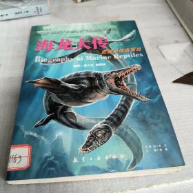 海龙大传