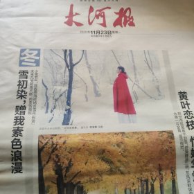 大河报2020年11月23日8版