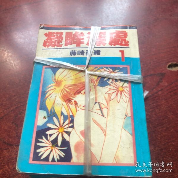 凝眸深处（1-11）共11本