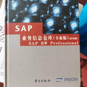 SAP业务信息仓库