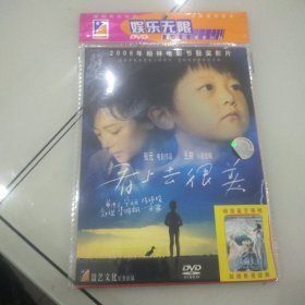 DVD 看上去很美 简装1碟