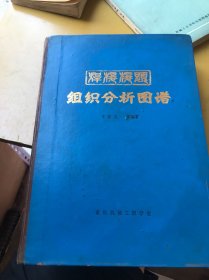 焊接接头组织分析图谱