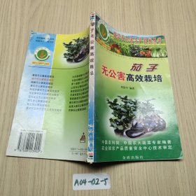 茄子無(wú)公害高效栽培（蔬菜無(wú)公害生產(chǎn)技術(shù)叢書(shū)）