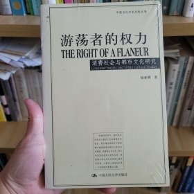 游荡者的权力：消费社会与都市文化研究