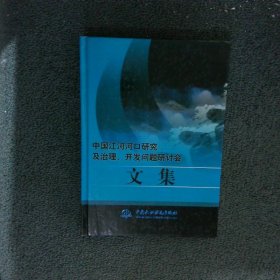 中国江河河口研究及治理、开发问题研讨会文集精装