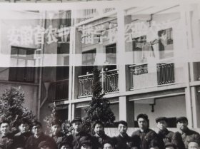 1982安徽省农业广播学校经验交流会老照片，肥东店埠