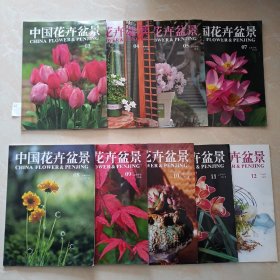 中国花卉盆景2018年上半同3.4.5.7.8.9.10.11.12九期
