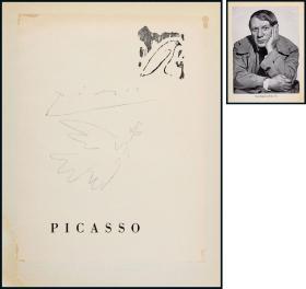 毕加索手绘和平鸽，亲签