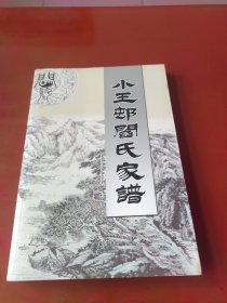 小王村(定襄)阎氏家谱
