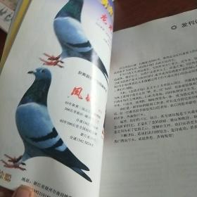 信鸽市场杂志，创刊号