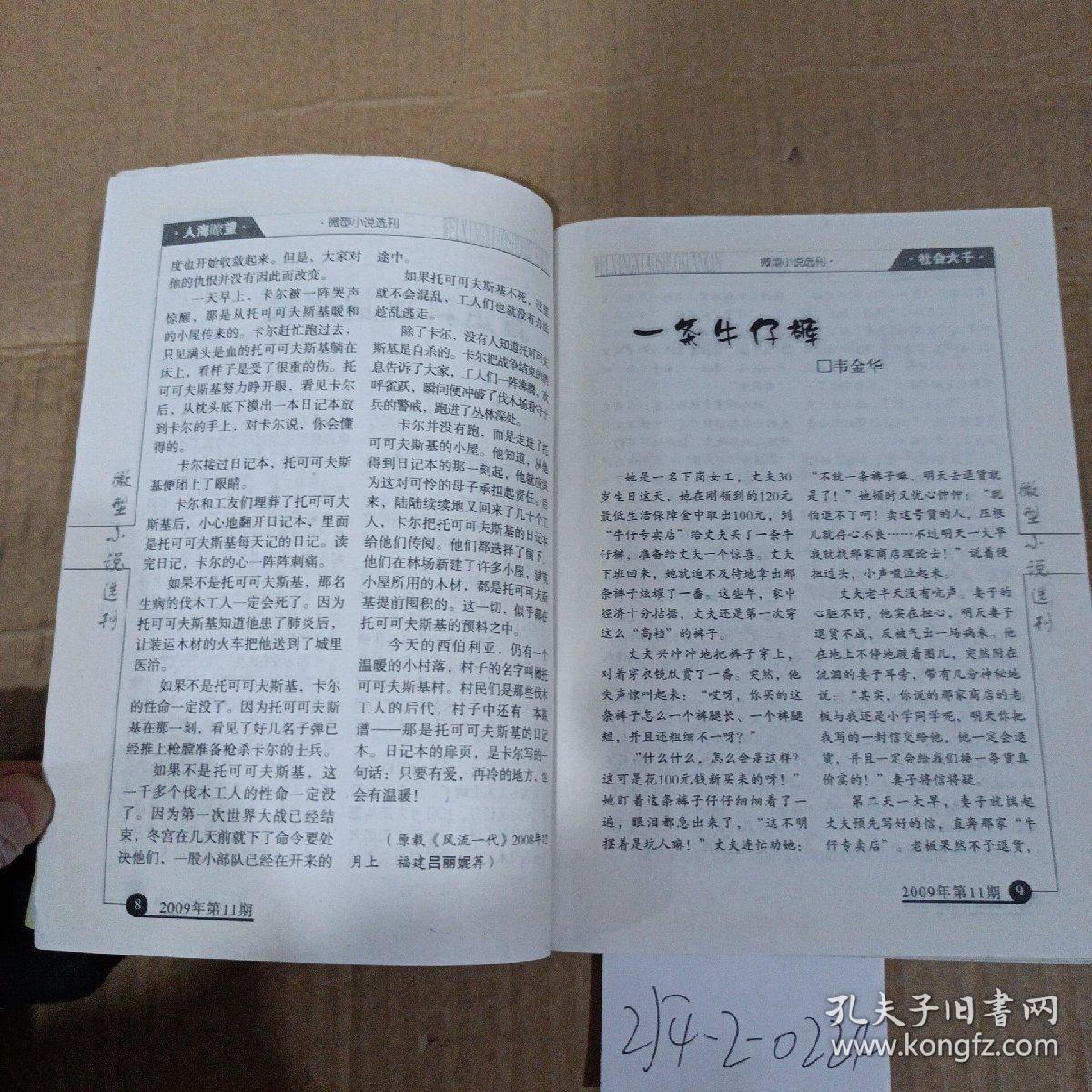 微型小说选刊2009年第11期