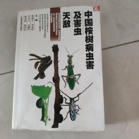 中国桉树病虫害及害虫天敌