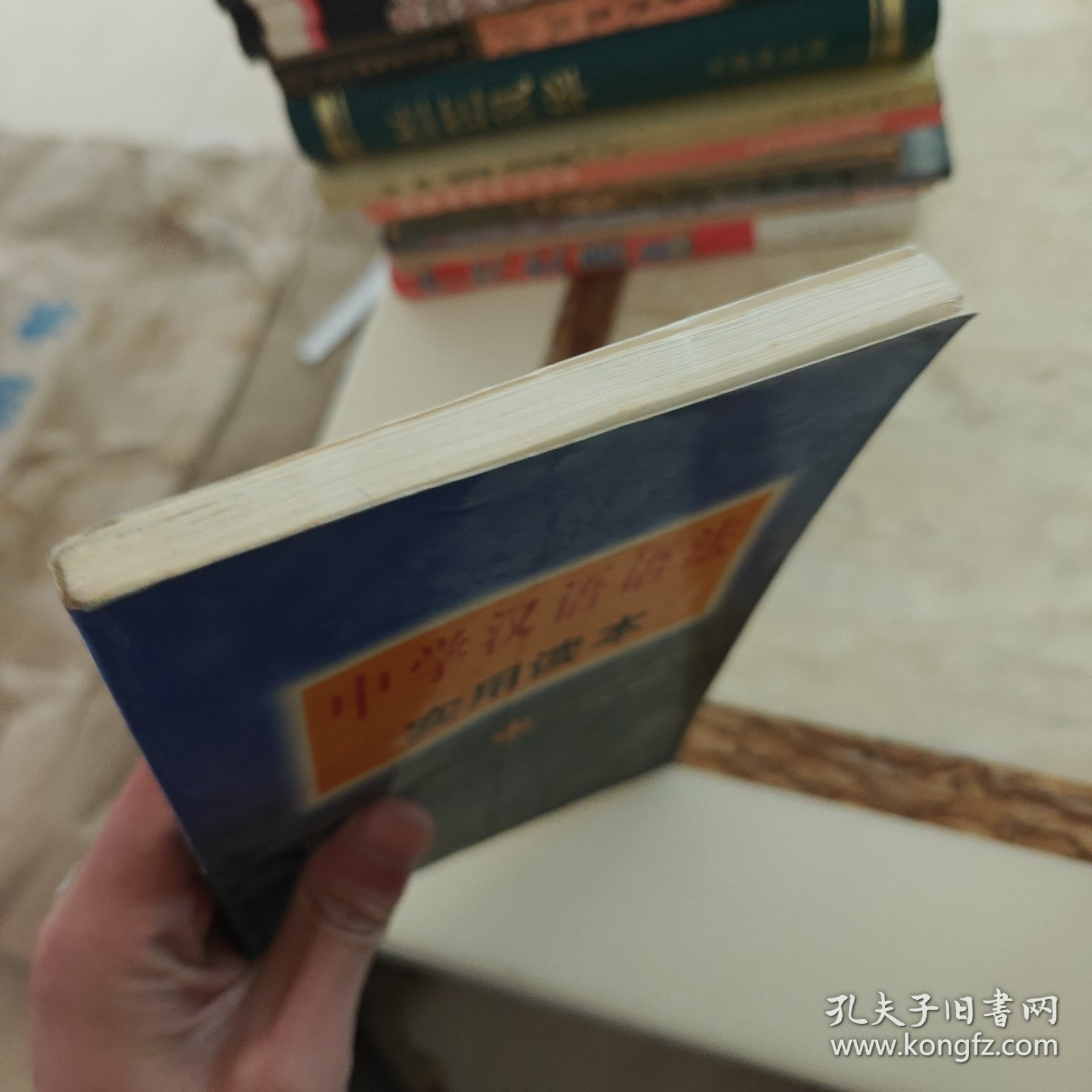 中学汉语语法实用读本