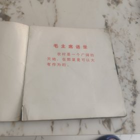 知识青年在北大荒