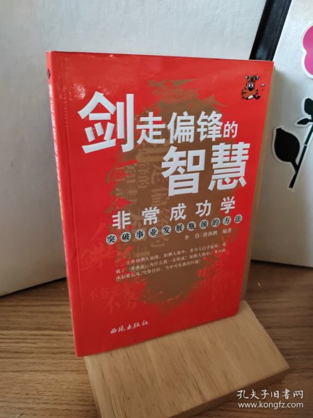 剑走偏锋的智慧：非常成功学