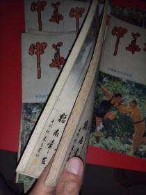 中华武术（创刊号）