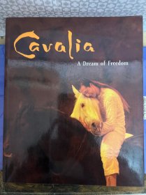 Gvalia A Dream of Freedom