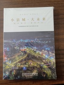 技术要点系列丛书 小县城 大未来