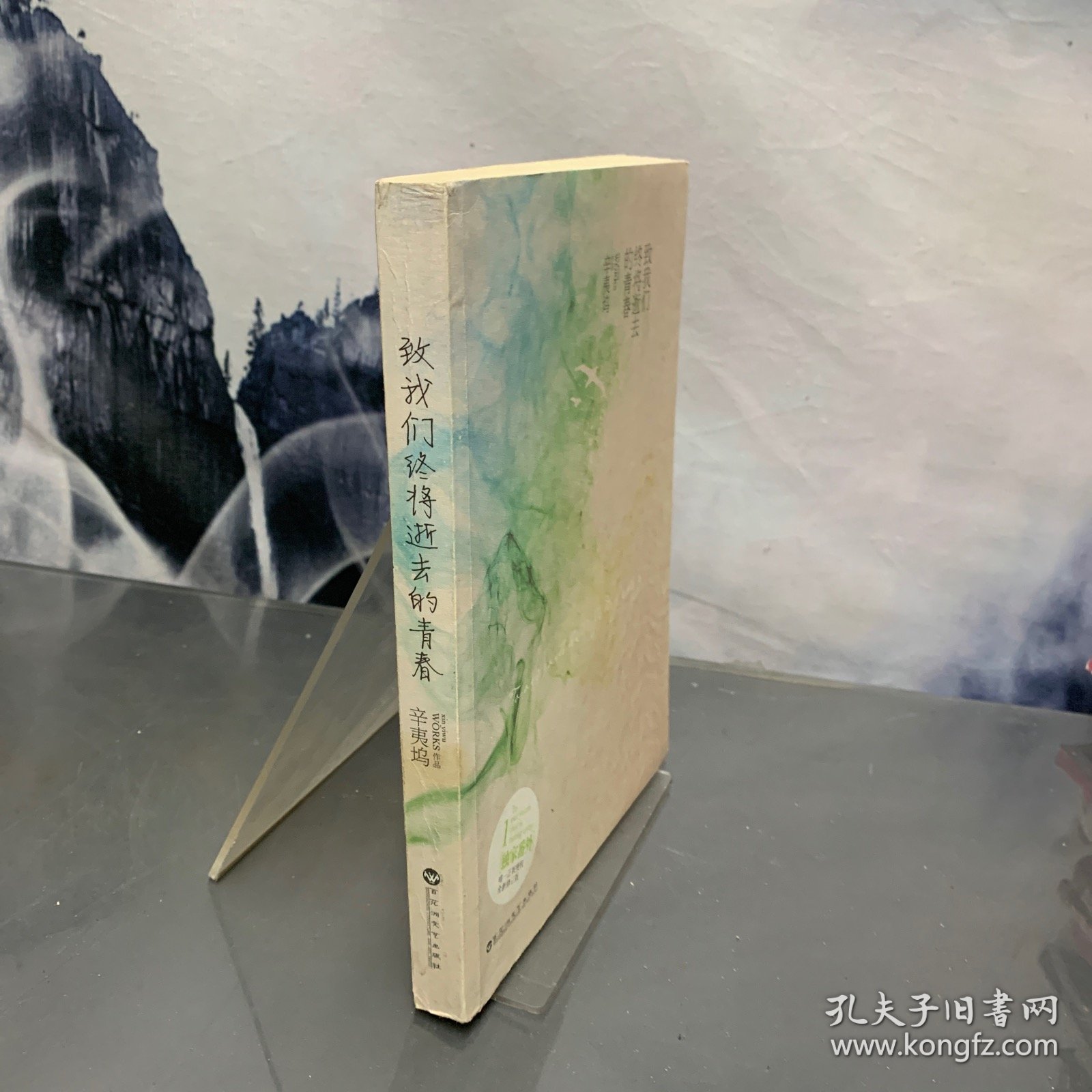 致我们终将逝去的青春：电影纪念版