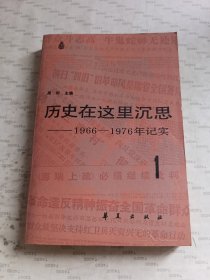 历史在这里沉思-1966-1976年记实