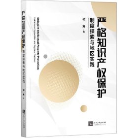 严格知识产权保护——制度探索与地区实践