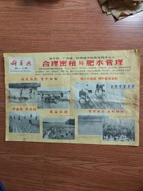 合理密植与肥水管理（1966年宣传画，四川省科学技术协会）