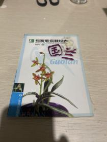 专家教你种花卉  国兰