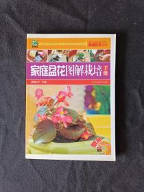 家庭盆花图解栽培手册