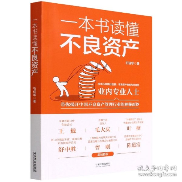 一本书读懂不良资产（王巍、毛大庆、叶檀、舒中胜、曾刚、陈道富联合推荐）