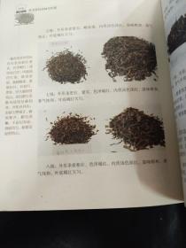 云南普洱茶